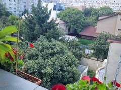 Dristor, Baba Novac